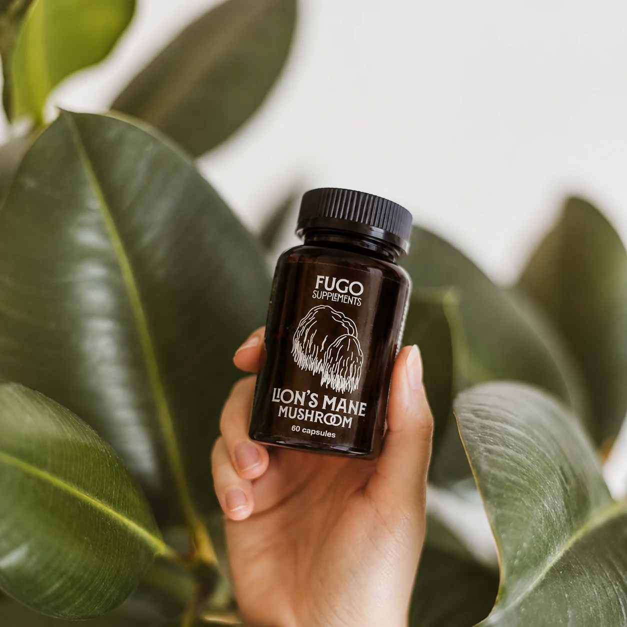FUGO lion's mane supplement held among green leaves
